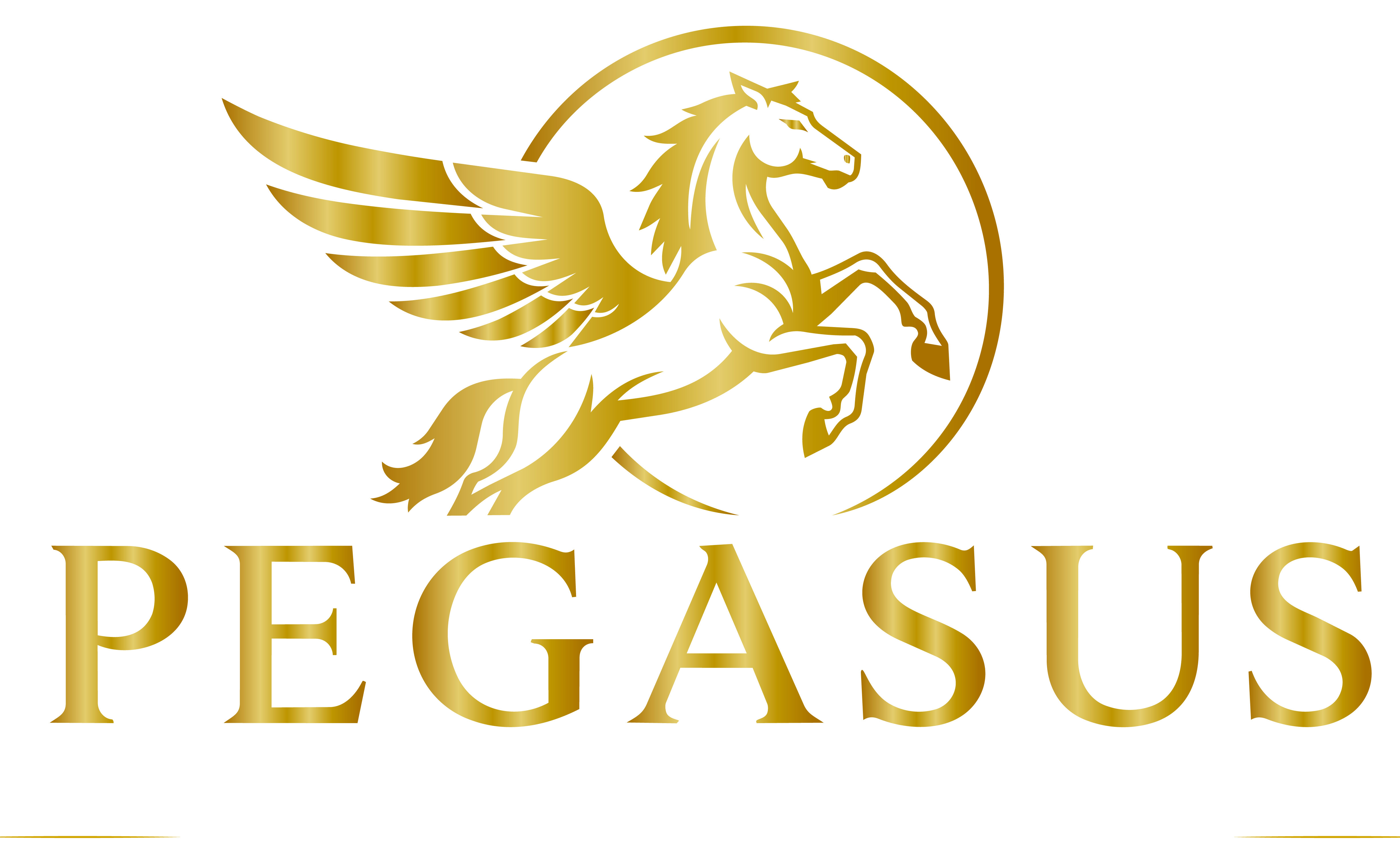 PEGASUS